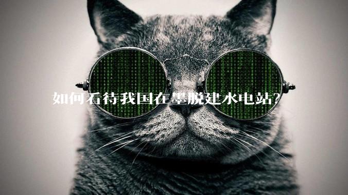 如何看待我国在墨脱建水电站?
