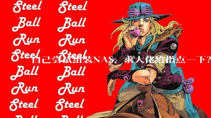 自己尝试组装NAS,求大佬给指点一下?