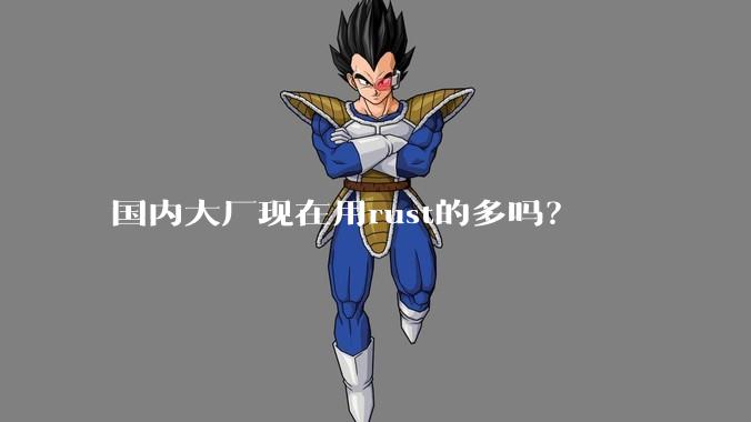 国内大厂现在用rust的多吗?