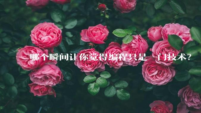哪个瞬间让你觉得编程只是一门技术?