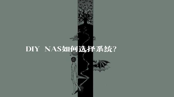 DIY NAS如何选择系统?