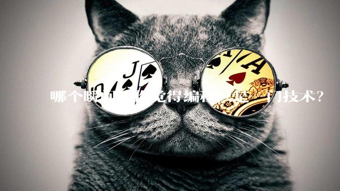 哪个瞬间让你觉得编程只是一门技术?