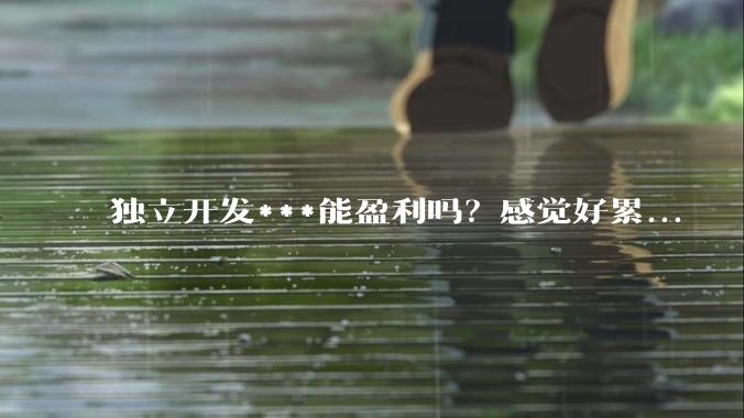 独立开发***能盈利吗?感觉好累...