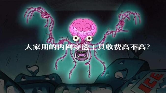 大家用的内网穿透工具收费高不高?