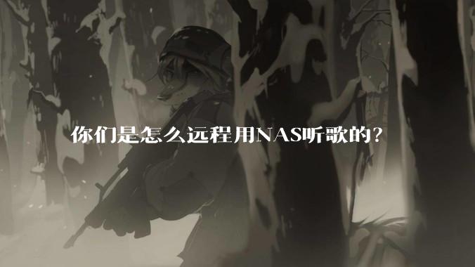 你们是怎么远程用NAS听歌的?