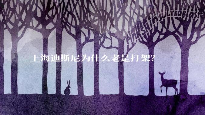 上海迪斯尼为什么老是打架?