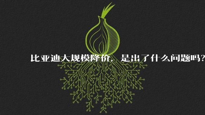 比亚迪大规模降价,是出了什么问题吗?
