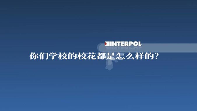 你们学校的校花都是怎么样的?