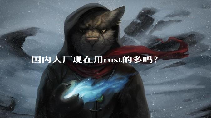 国内大厂现在用rust的多吗?