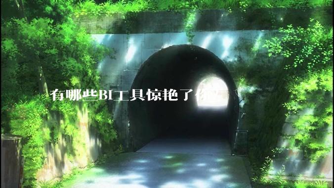 有哪些BI工具惊艳了你?