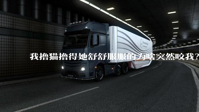 我撸猫撸得她舒舒服服的为啥突然咬我?