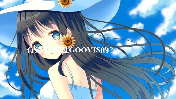 有没有用过GOOVIS的?