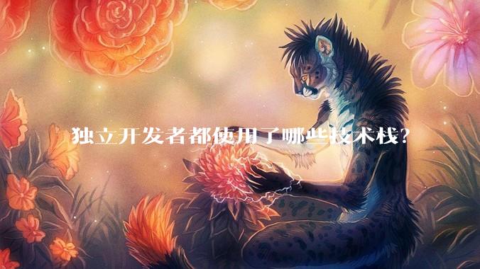 独立开发者都使用了哪些技术栈?