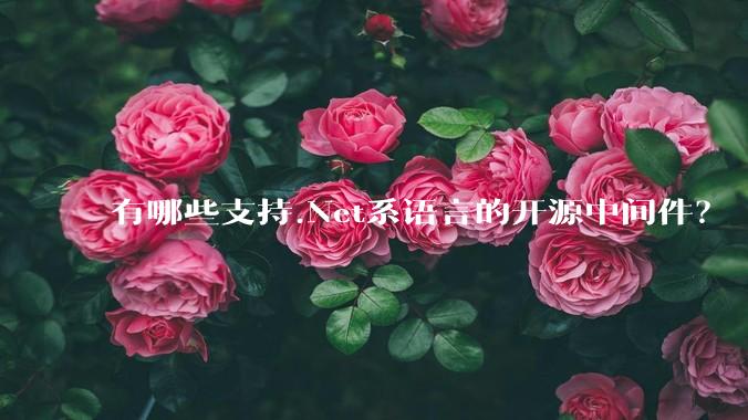 有哪些支持.Net系语言的开源中间件?