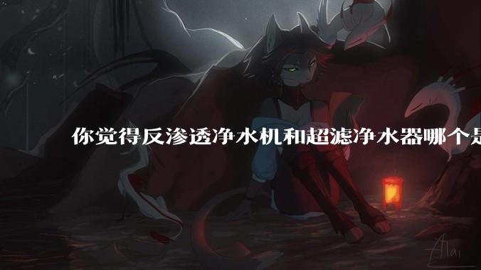 你觉得反渗透净水机和超滤净水器哪个是更适合厨房使用的?