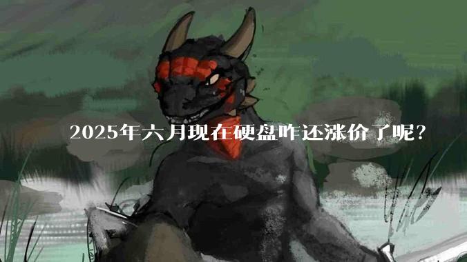 2025年六月现在硬盘咋还涨价了呢?