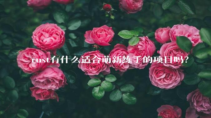rust有什么适合萌新练手的项目吗?