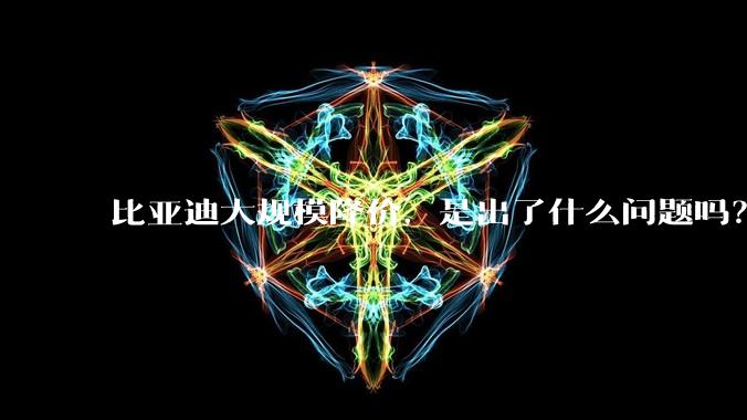 比亚迪大规模降价,是出了什么问题吗?
