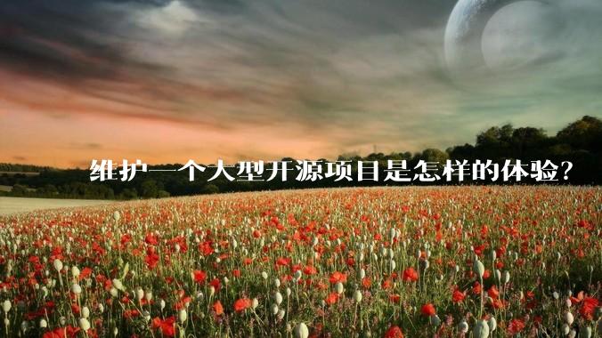 维护一个大型开源项目是怎样的体验?