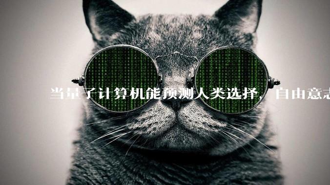 当量子计算机能预测人类选择,自由意志是否沦为算法的注脚?