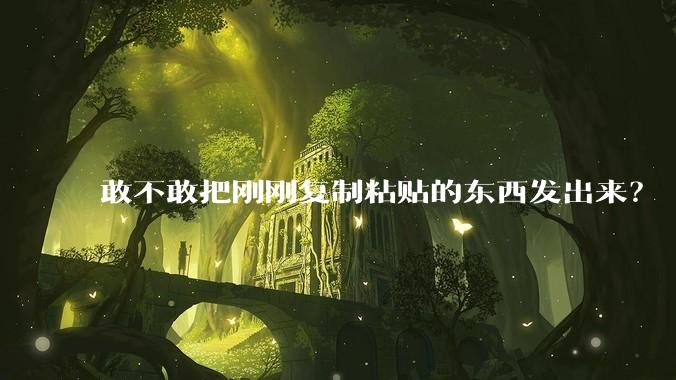 敢不敢把刚刚复制粘贴的东西发出来?