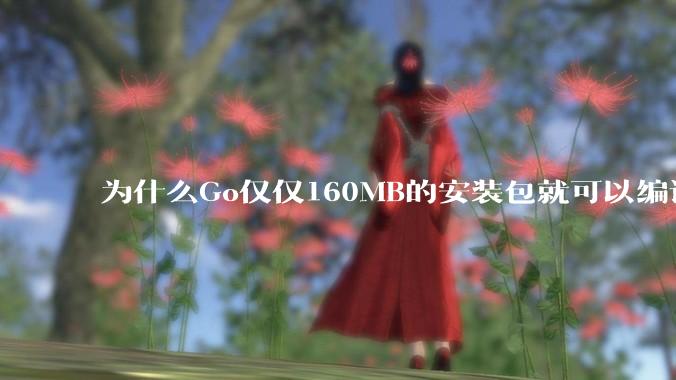 为什么Go仅仅160MB的安装包就可以编译程序,而Rust却还需要几个GB的VC++才能编译?