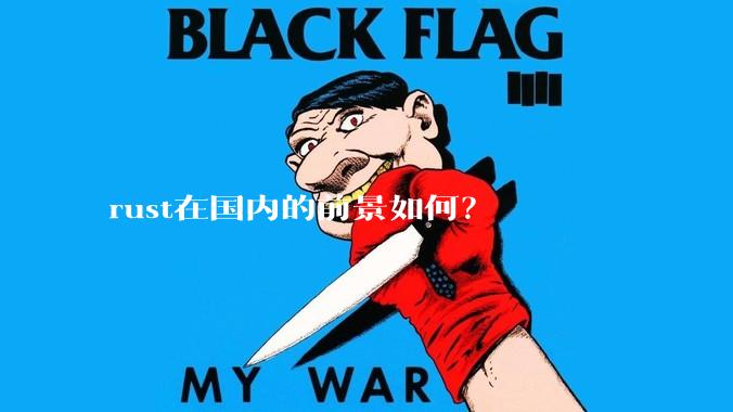 rust在国内的前景如何?