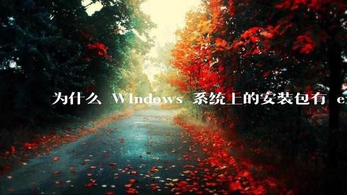 为什么 Windows 系统上的安装包有 exe 和 msi 两种格式,有什么区别?