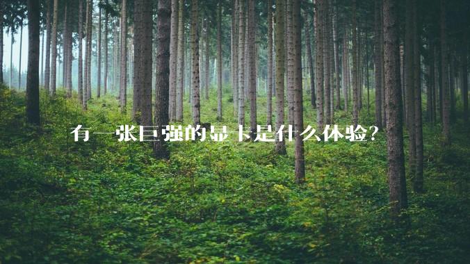 有一张巨强的显卡是什么体验?