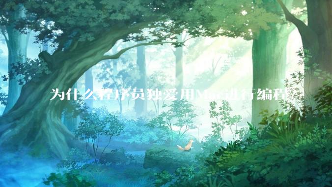 为什么程序员独爱用Mac进行编程?