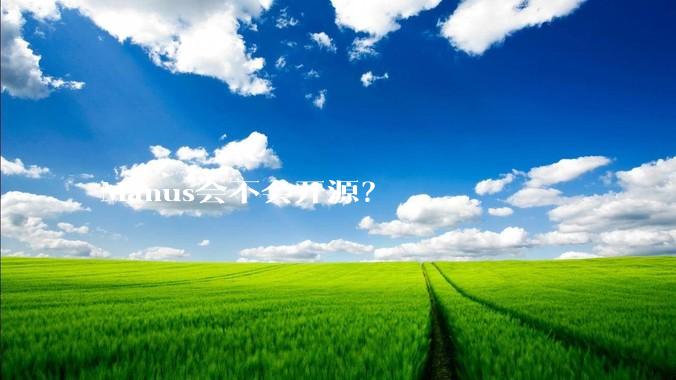 Manus会不会开源?