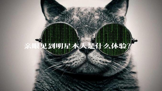 亲眼见到明星本人是什么体验?