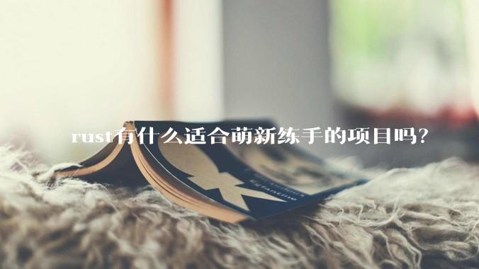 rust有什么适合萌新练手的项目吗?