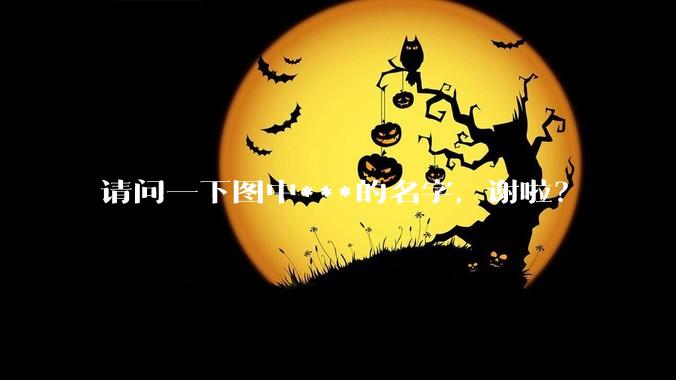 请问一下图中***的名字,谢啦?