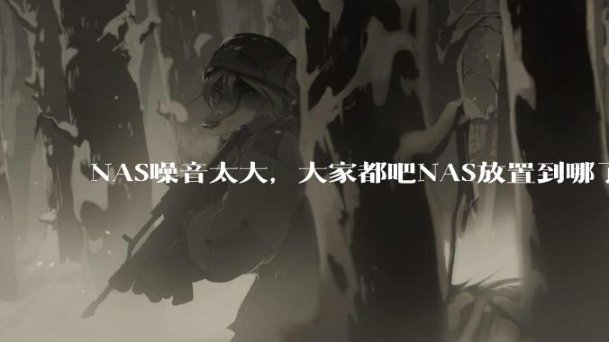 NAS噪音太大,大家都吧NAS放置到哪了?