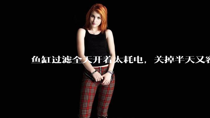 鱼缸过滤全天开着太耗电,关掉半天又容易水浑,有什么好办法?