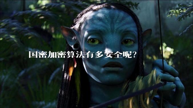 国密加密算法有多安全呢?