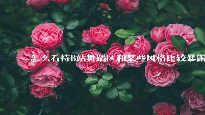 怎么看待B站舞蹈区和某些风格比较暴露的up?