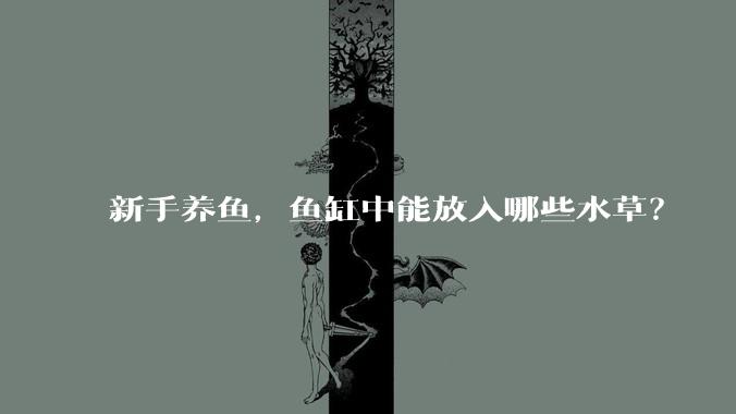 新手养鱼,鱼缸中能放入哪些水草?