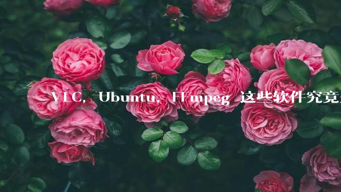 VLC,Ubuntu,FFmpeg 这些软件究竟是什么人开发的?为什么免费?他们不求回报又何以生存?