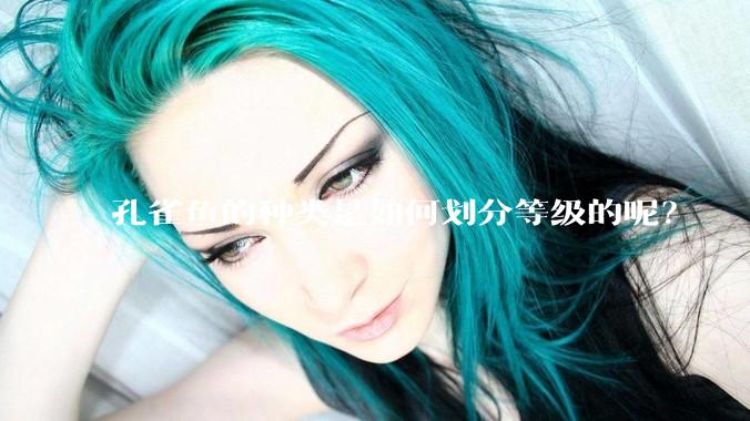 孔雀鱼的种类是如何划分等级的呢?