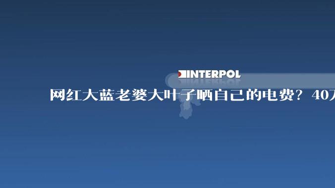 网红大蓝老婆大叶子晒自己的电费?40万每年,到底是什么概念?