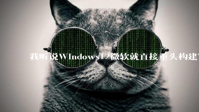 我听说Windows12微软就直接重头构建Windows了,就直接重构Win内核了,到底是不是真的?