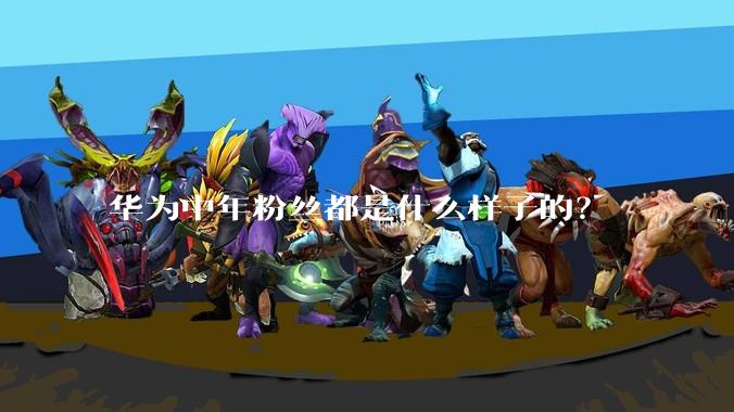 华为中年粉丝都是什么样子的?