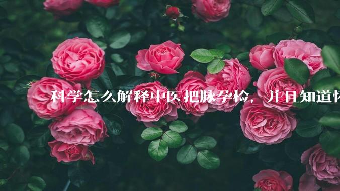 科学怎么解释中医把脉孕检,并且知道怀的男孩女孩?