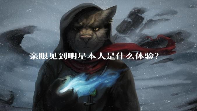 亲眼见到明星本人是什么体验?