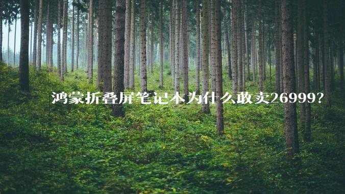 鸿蒙折叠屏笔记本为什么敢卖26999?