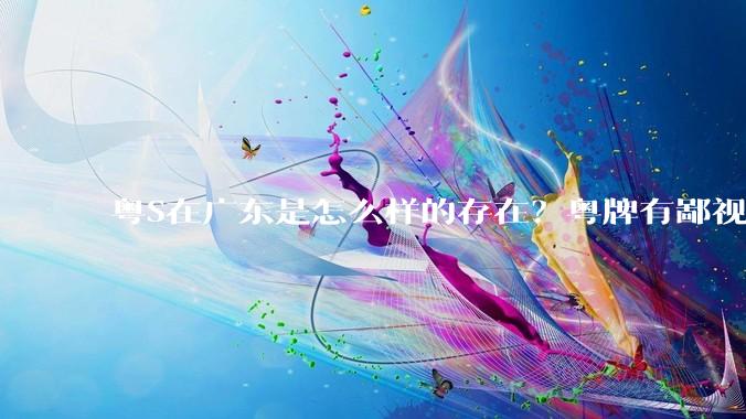 粤S在广东是怎么样的存在?粤牌有鄙视链吗?