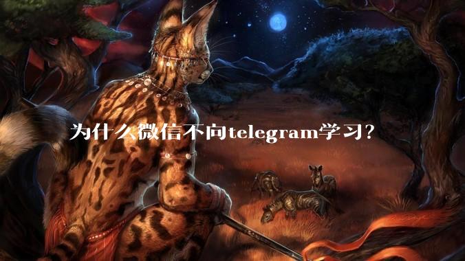 为什么微信不向telegram学习?