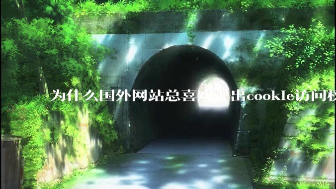 为什么国外网站总喜欢弹出cookie访问权限弹窗,国内网站却没有,这么做有什么意义?